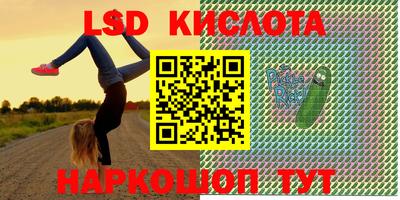 шишки Заволжье