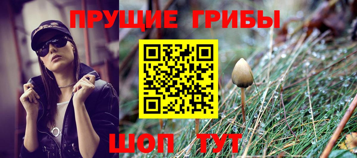 Псилоцибиновые грибы мицелий Нерюнгри