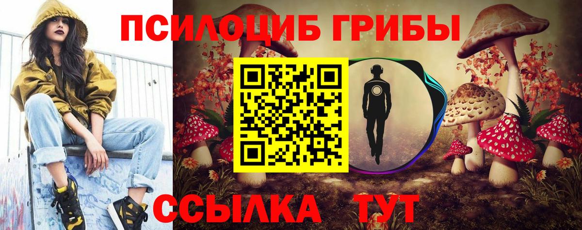 Нерюнгри  Галлюциногенные грибы ЛСД  Галлюциногенные грибы прущие грибы  Вход с VPN 